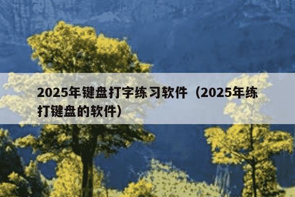2025年键盘打字练习软件（2025年练打键盘的软件）