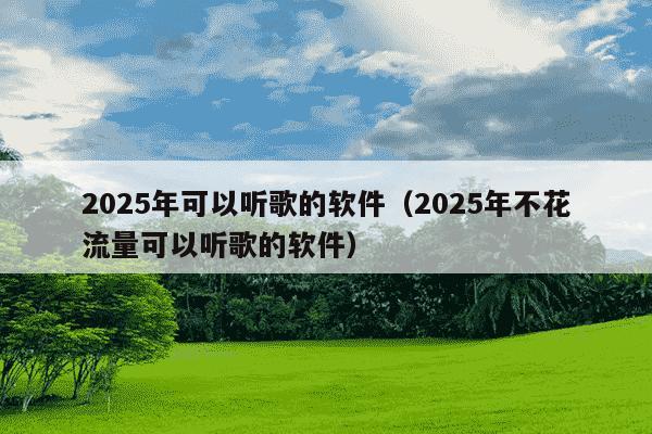 2025年可以听歌的软件（2025年不花流量可以听歌的软件）