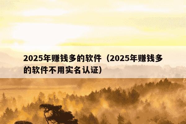 2025年赚钱多的软件（2025年赚钱多的软件不用实名认证）
