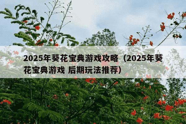 2025年葵花宝典游戏攻略（2025年葵花宝典游戏 后期玩法推荐）
