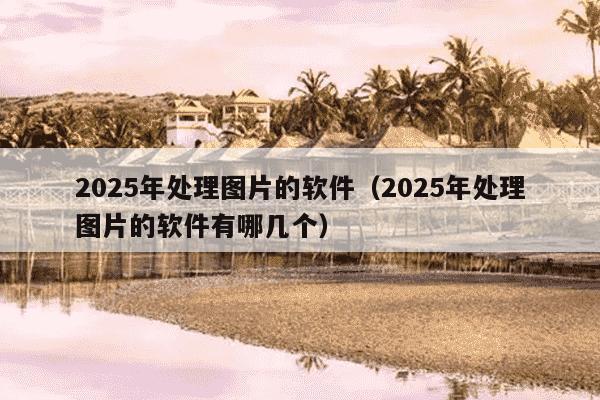 2025年处理图片的软件(2025年处理图片的软件有哪几个)