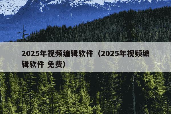 2025年视频编辑软件（2025年视频编辑软件 免费）