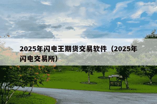 2025年闪电王期货交易软件(2025年闪电交易所)