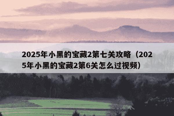 2025年小黑的宝藏2第七关攻略（2025年小黑的宝藏2第6关怎么过视频）