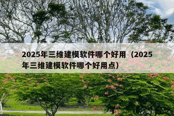 2025年三维建模软件哪个好用(2025年三维建模软件哪个好用点)
