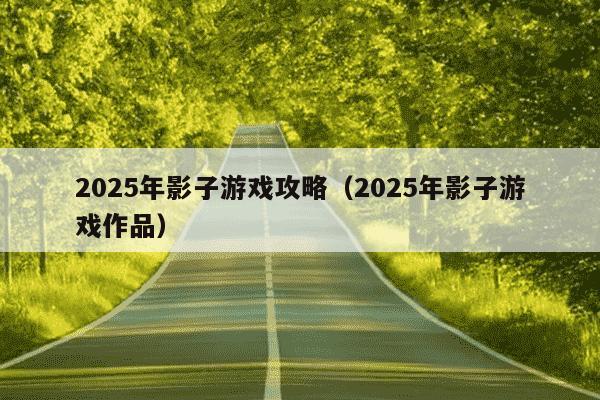 2025年影子游戏攻略（2025年影子游戏作品）