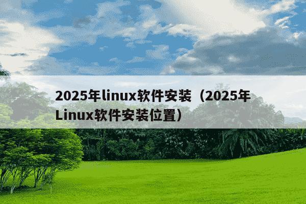 2025年linux软件安装(2025年Linux软件安装位置)