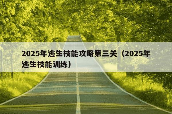 2025年逃生技能攻略第三关(2025年逃生技能训练)