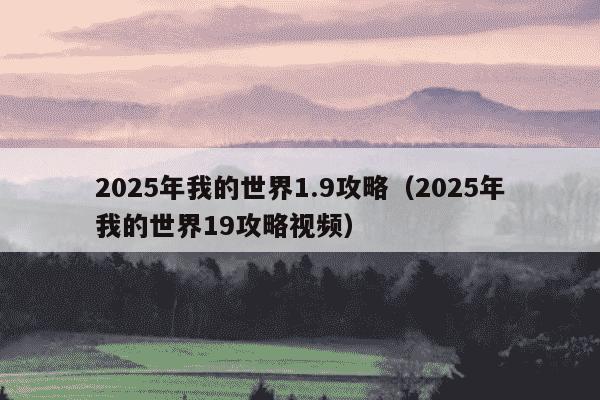 2025年我的世界1.9攻略(2025年我的世界19攻略视频)