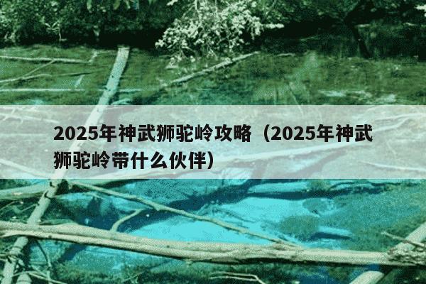 2025年神武狮驼岭攻略（2025年神武狮驼岭带什么伙伴）