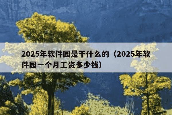 2025年软件园是干什么的（2025年软件园一个月工资多少钱）