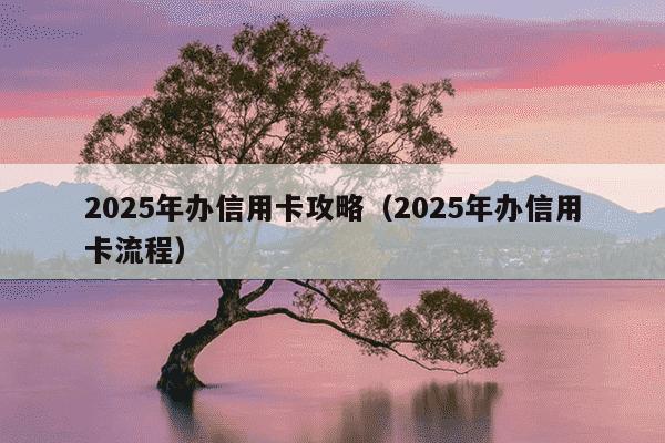 2025年办信用卡攻略(2025年办信用卡流程)