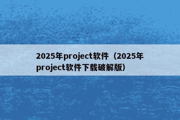 2025年project软件（2025年project软件下载破解版）