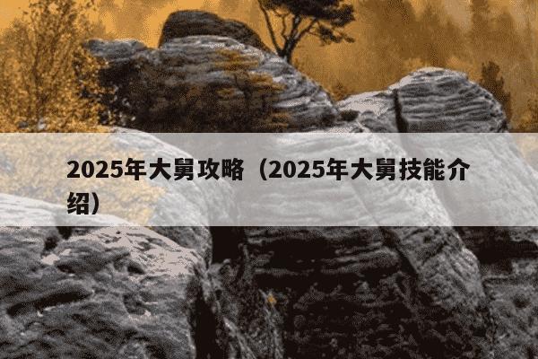 2025年大舅攻略(2025年大舅技能介绍)