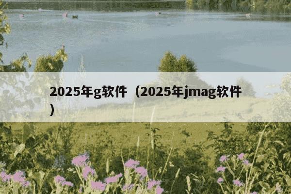2025年g软件（2025年jmag软件）