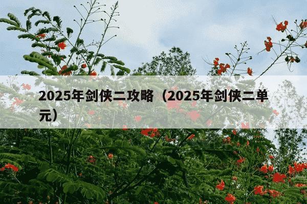 2025年剑侠二攻略(2025年剑侠二单元)
