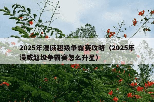 2025年漫威超级争霸赛攻略（2025年漫威超级争霸赛怎么升星）