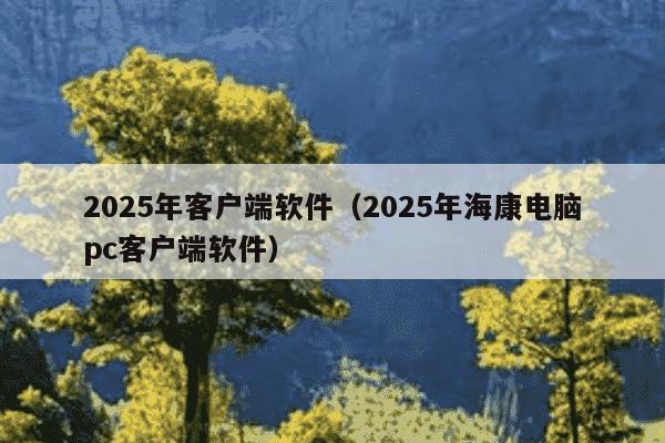 2025年客户端软件(2025年海康电脑pc客户端软件)