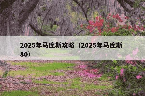 2025年马库斯攻略(2025年马库斯 80)