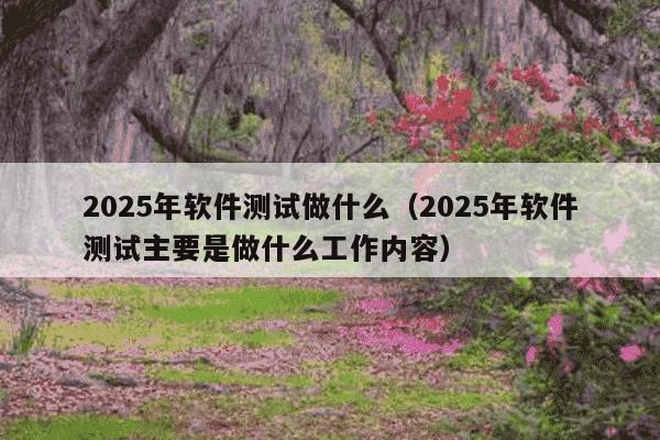 2025年软件测试做什么(2025年软件测试主要是做什么工作内容)