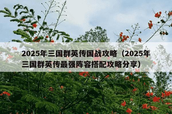 2025年三国群英传国战攻略（2025年三国群英传最强阵容搭配攻略分享）