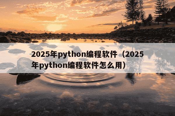 2025年python编程软件（2025年python编程软件怎么用）