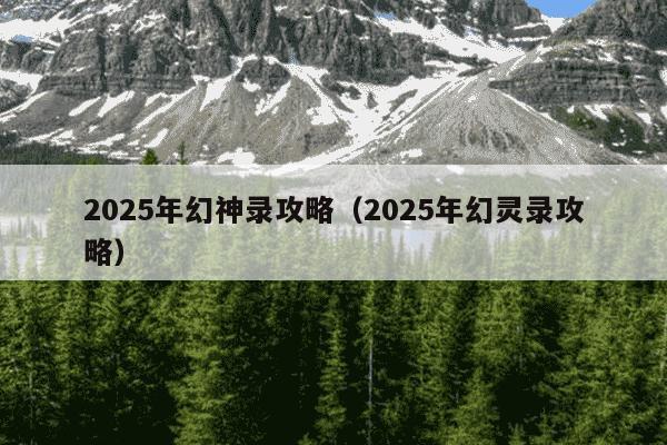 2025年幻神录攻略（2025年幻灵录攻略）
