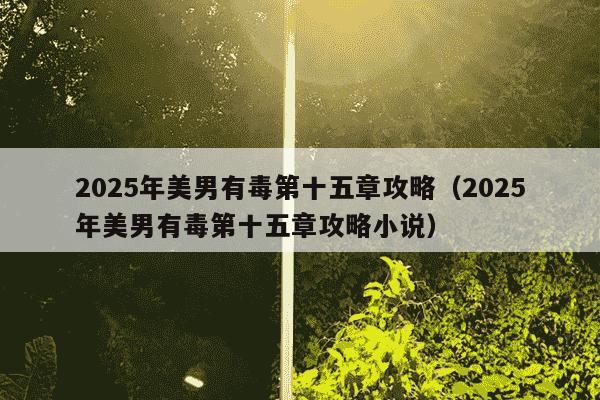 2025年美男有毒第十五章攻略(2025年美男有毒第十五章攻略小说)