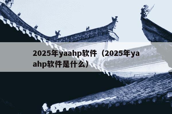2025年yaahp软件(2025年yaahp软件是什么)