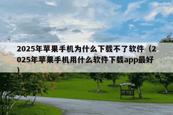 2025年苹果手机为什么下载不了软件(2025年苹果手机用什么软件下载app最好)