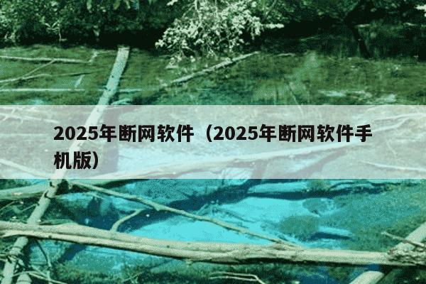 2025年断网软件（2025年断网软件手机版）