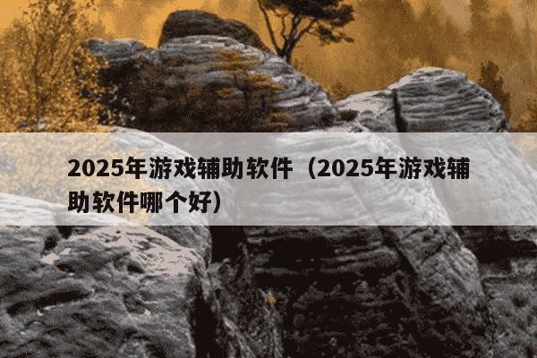 2025年游戏辅助软件（2025年游戏辅助软件哪个好）