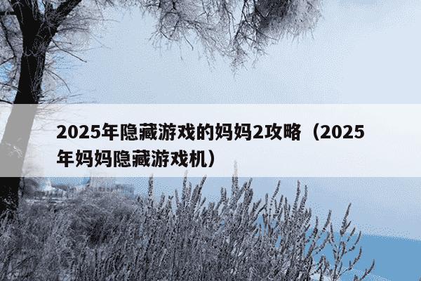 2025年隐藏游戏的妈妈2攻略(2025年妈妈隐藏游戏机)