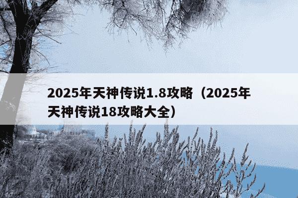 2025年天神传说1.8攻略（2025年天神传说18攻略大全）