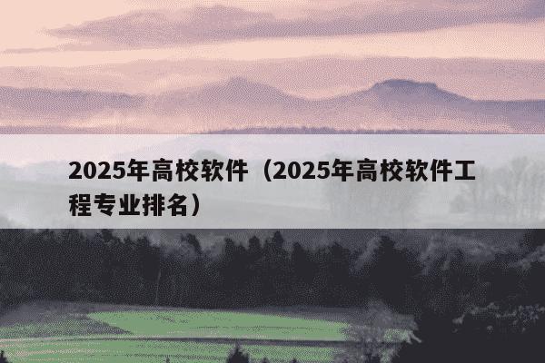 2025年高校软件（2025年高校软件工程专业排名）