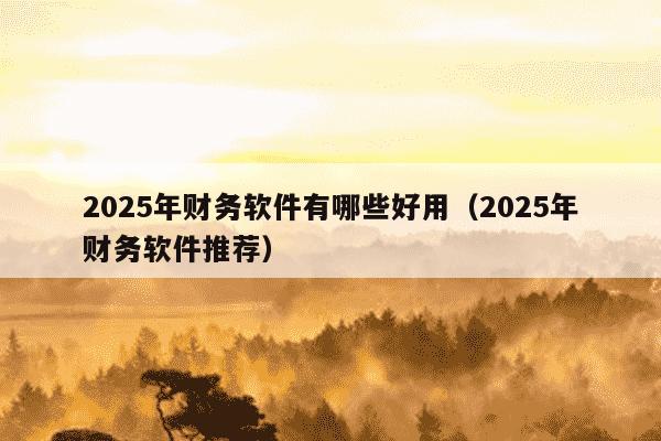 2025年财务软件有哪些好用(2025年财务软件推荐)
