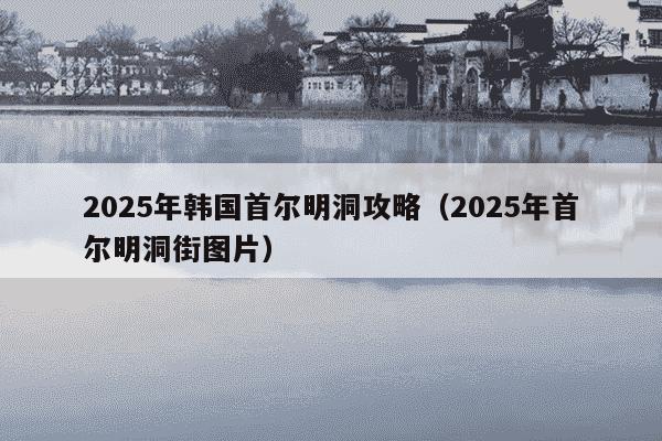 2025年韩国首尔明洞攻略(2025年首尔明洞街图片)