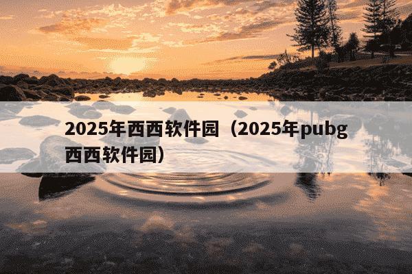 2025年西西软件园(2025年pubg西西软件园)