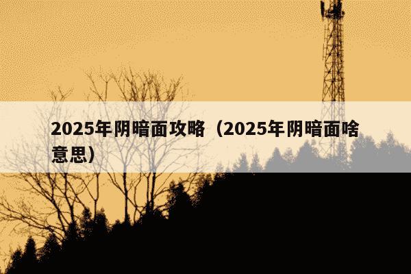 2025年阴暗面攻略(2025年阴暗面啥意思)