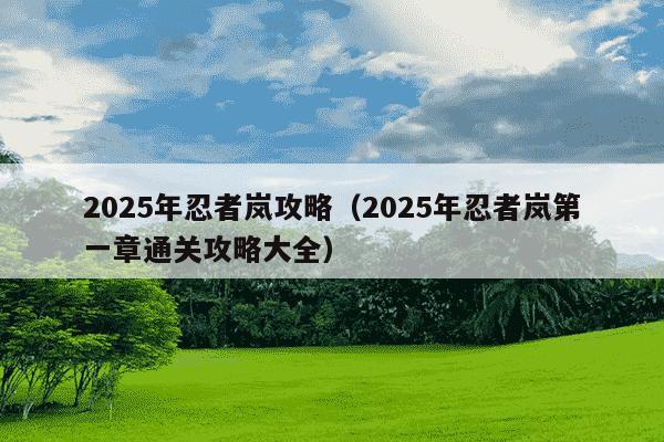 2025年忍者岚攻略（2025年忍者岚第一章通关攻略大全）