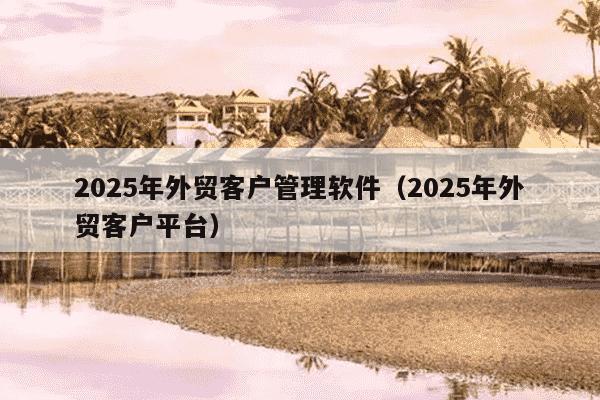 2025年外贸客户管理软件（2025年外贸客户平台）