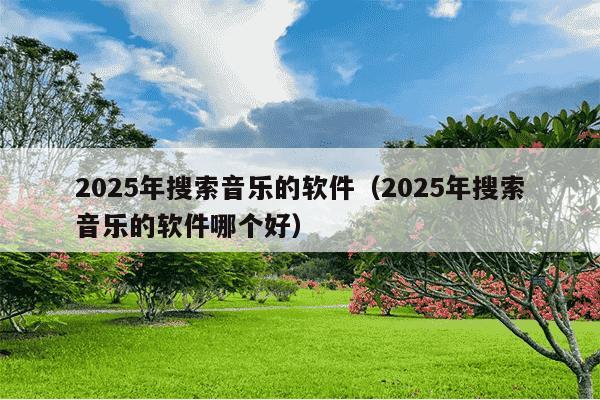 2025年搜索音乐的软件（2025年搜索音乐的软件哪个好）