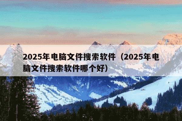2025年电脑文件搜索软件（2025年电脑文件搜索软件哪个好）