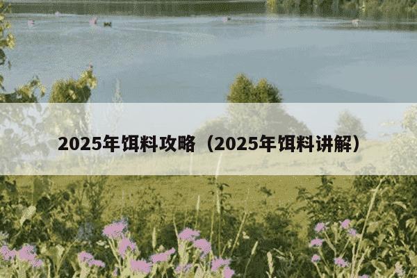 2025年饵料攻略(2025年饵料讲解)