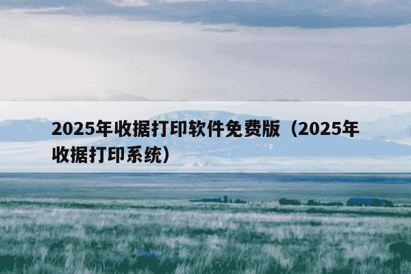2025年收据打印软件免费版(2025年收据打印系统)