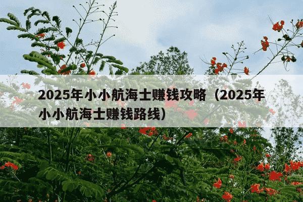 2025年小小航海士赚钱攻略（2025年小小航海士赚钱路线）