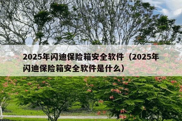 2025年闪迪保险箱安全软件（2025年闪迪保险箱安全软件是什么）