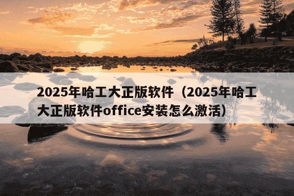 2025年哈工大正版软件(2025年哈工大正版软件office安装怎么激活)