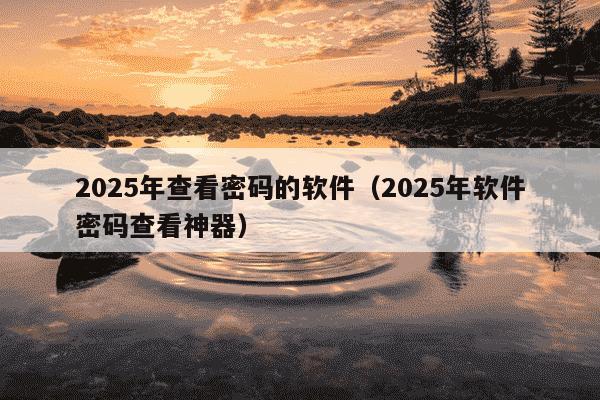 2025年查看密码的软件(2025年软件密码查看神器)