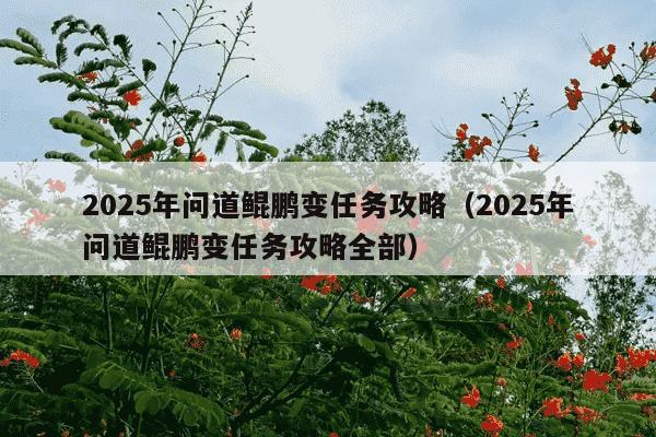 2025年问道鲲鹏变任务攻略(2025年问道鲲鹏变任务攻略全部)